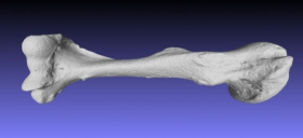 Archeology and Natural Geological Heritage Studies